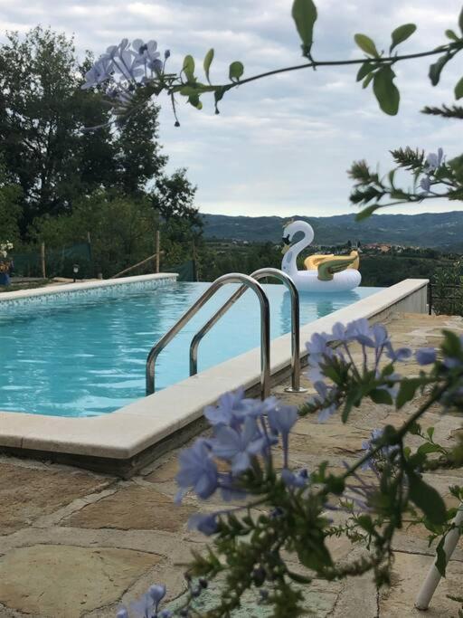 Kuća Zanetta sa bazenom