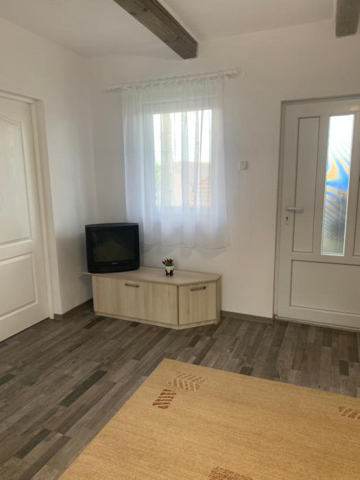 Apartament de inchiriat în localitatea Dănești