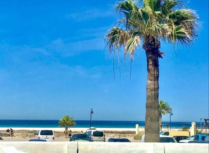 Urb Las Cañas Apartamento F1