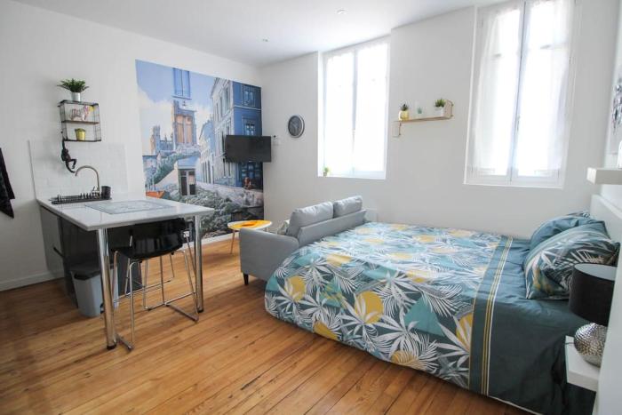 Le Fanfrelin : Grand studio rénové Wi-fi