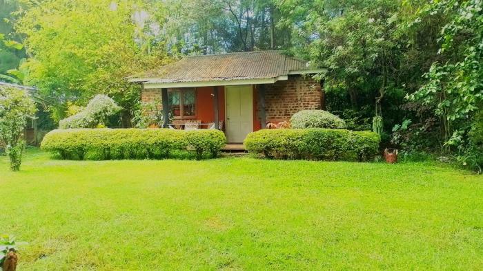 Steves cottage-homely