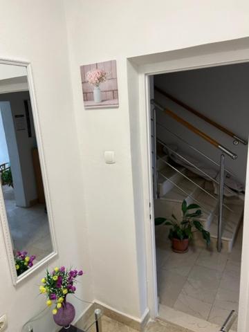 Apartmani Mila