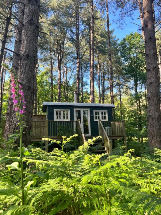 King Nutkin Shepherds Hut