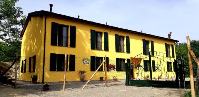 Luci nel Bosco B&B