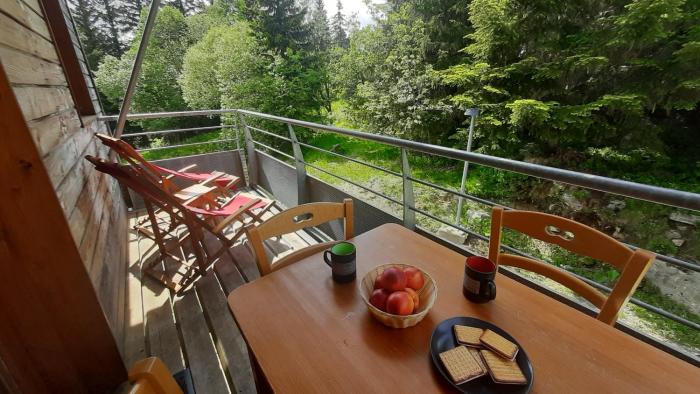 Charmant appartement au pied des pistes