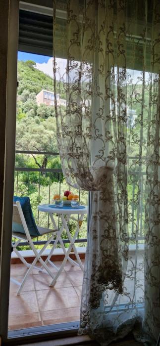 One Bedroom Apartment Petrovac