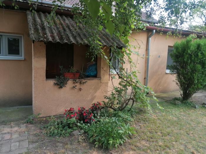 UMM apartman za EXIT