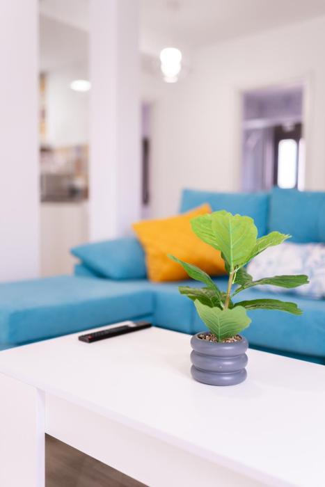 Apartamento Patio Real Bellavista