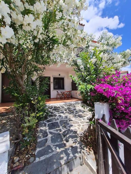 COZY Apartment Casa Despoina at the BEACH