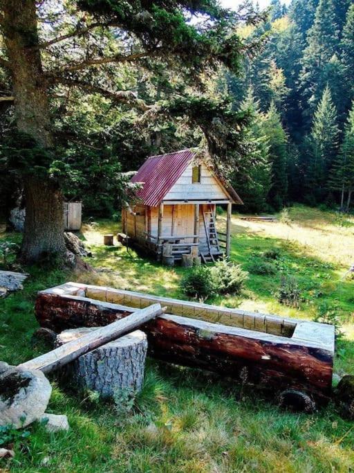 Domaćinstvo Pešića