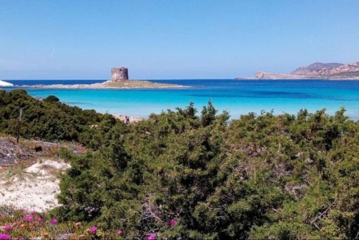 ClickSardegna Villa Regina Stintino sea view with pool and garden