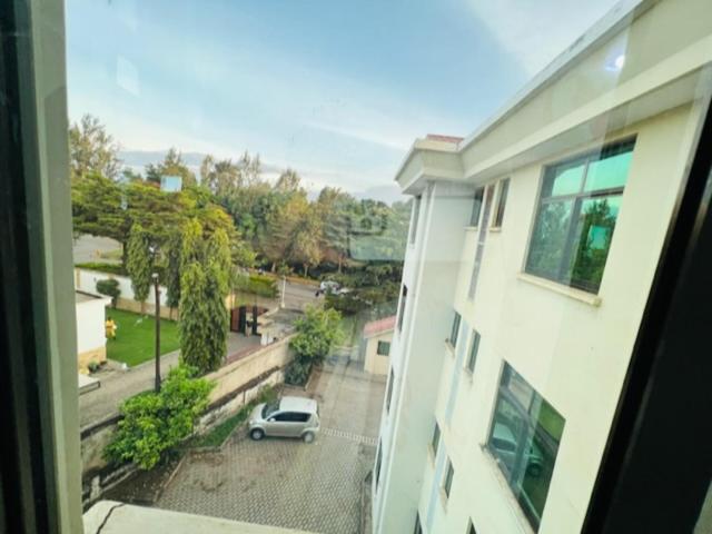 Beckys Apartment in down Town Arusha