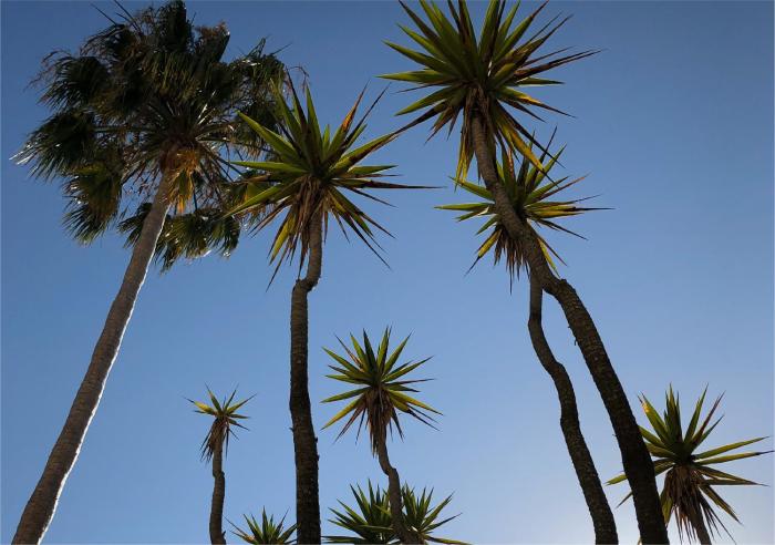 "Quinta da Praia - Casa da Praia" By LTS Holidays