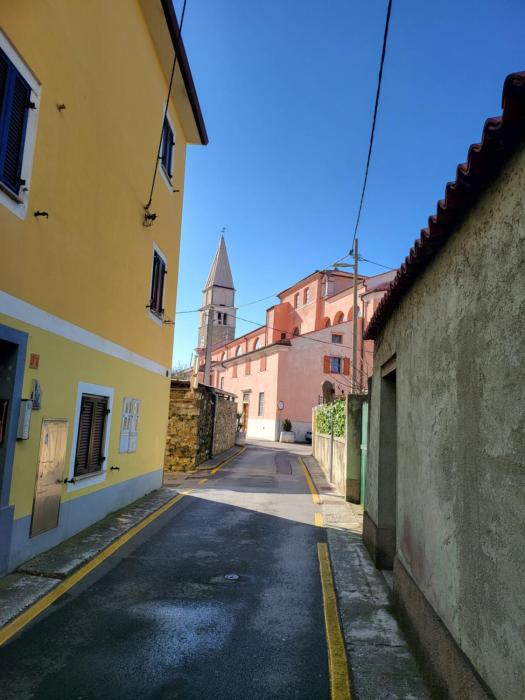 Apartma Delfin