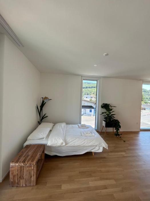 The R Apartment Passwang, KLIMA, NEU, Balkon, Parking