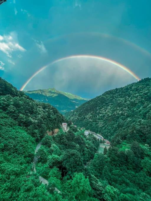 Doğadaki Büyük Eviniz Suit Apart 2+1