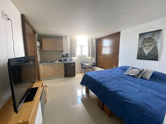 cool & comfy suite with GYM. Polanco