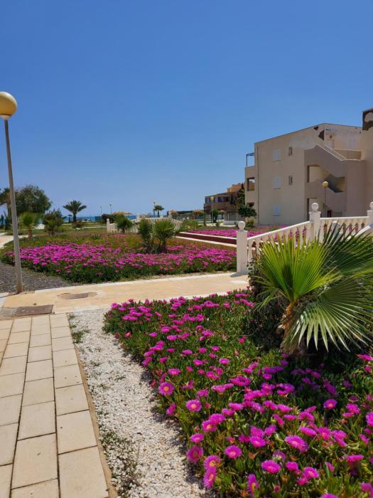 Casa baja naturista con palmeras y patio!