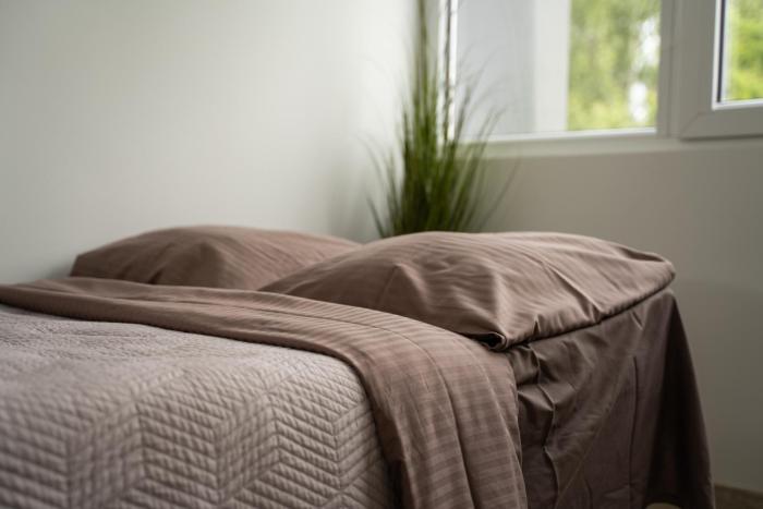 Nordic Studio In Prime Vilnius Location