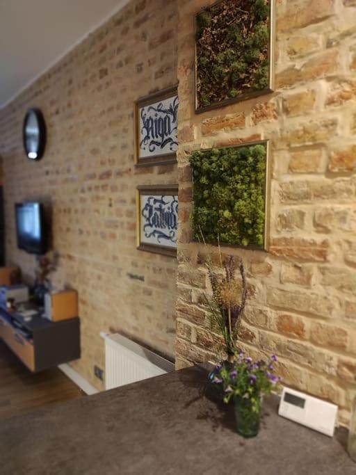 Уютный лофт среди старых парков