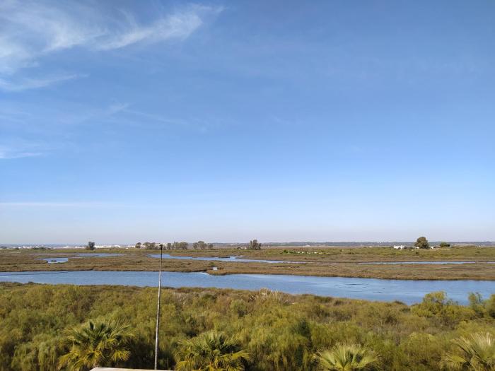 VISTAS MARISMAS APARTAMENTO DE DOS DORMITORIOS