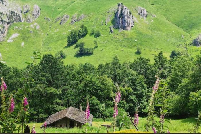 Cabaña Pasiega La Reina del Paraíso