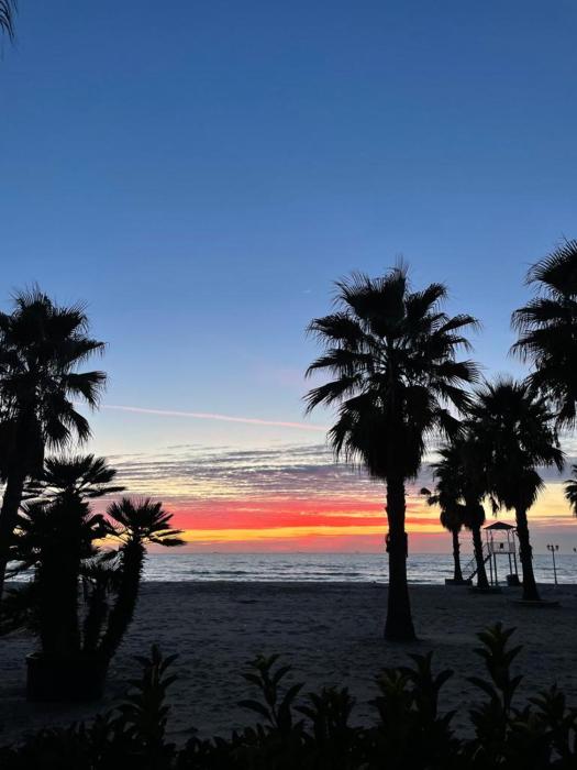 Sunny Beach Apartment