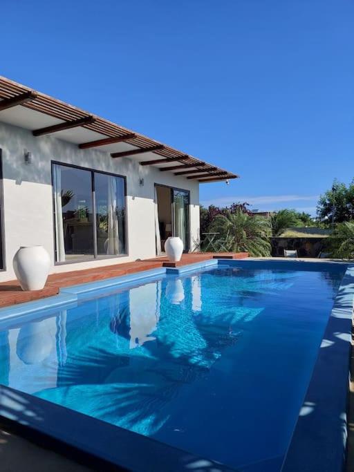 The Tropical Paradise