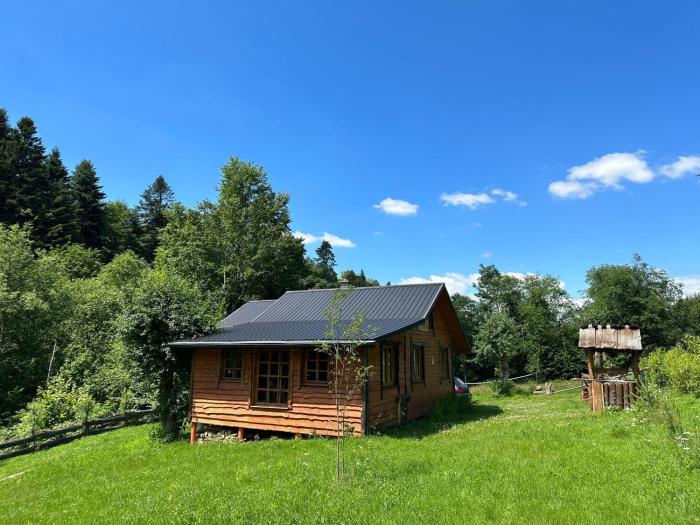 Nad Głuchym Potokiem