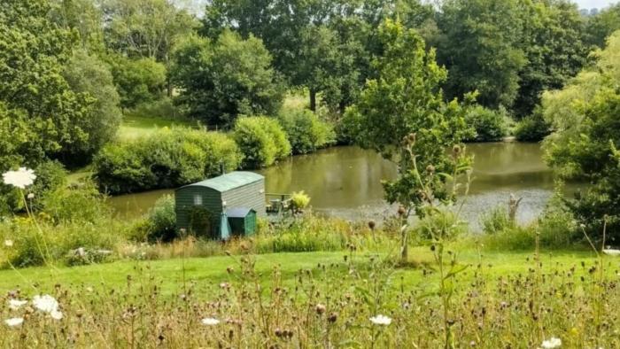 Snug & Secluded Lakeside Shepherds Hut Carp