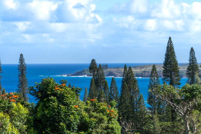 Kapalua Villas Maui -Your Unit
