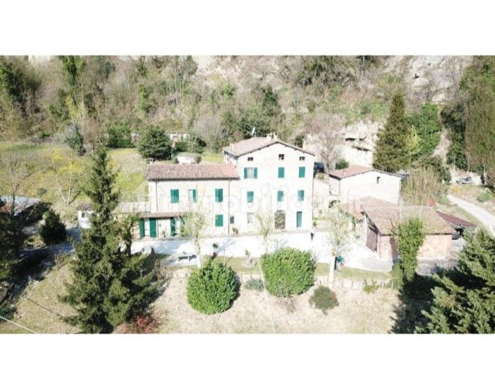 B&B BORGORI