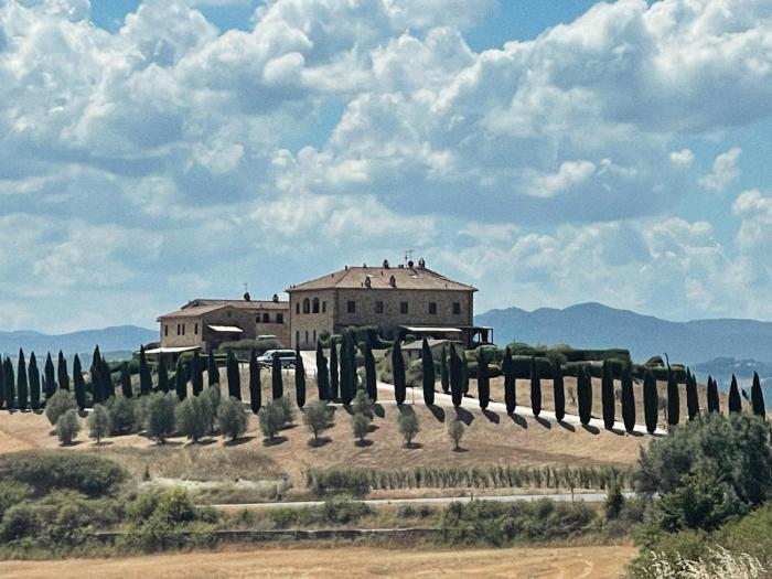 Podere Le Volpaie - Arancia