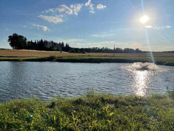 Domki Nad Malowniczym Stawem Raj Dla Wędkarzy Mazury