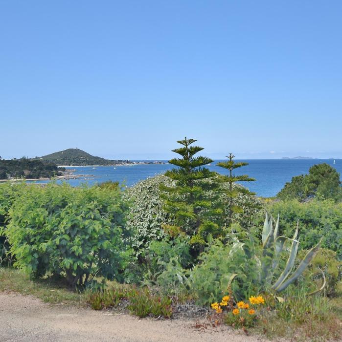 mare noi
