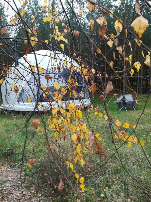 Glamping Drzwi Do Lasu