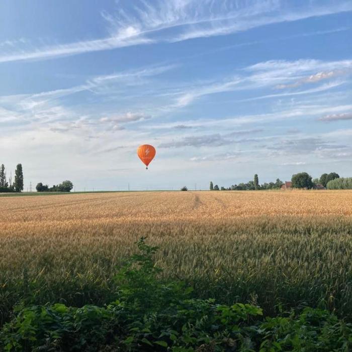 La Ferme 1851 - Cabane Spa Nordique privé vue sur champ