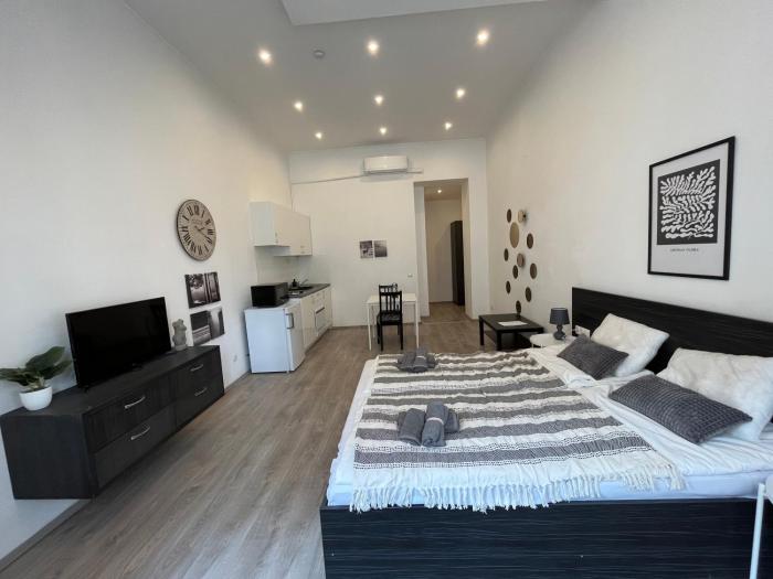 D58 Superior Apartments in the city center