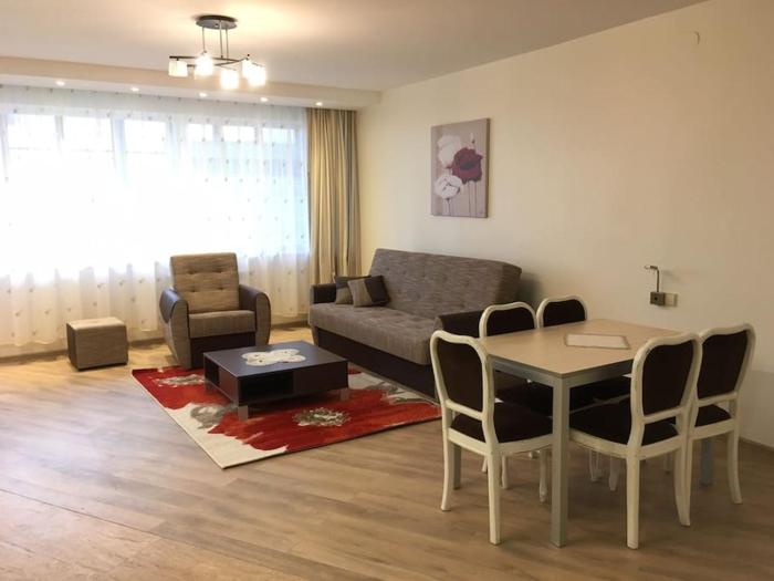 Spacious Apartment in Kintai
