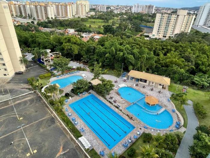 Golden dolphin express