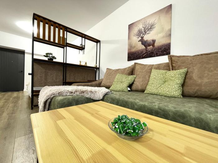 Cozy Bliss Studio in Sinaia w. Free parking