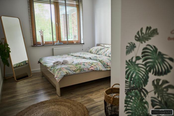 Apartament 12