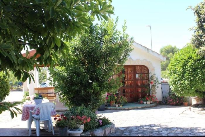 Apartments and rooms by the sea Brodarica - Sibenik - 21536