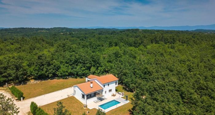 Vila Prisunca jacuzzi & swimming pool