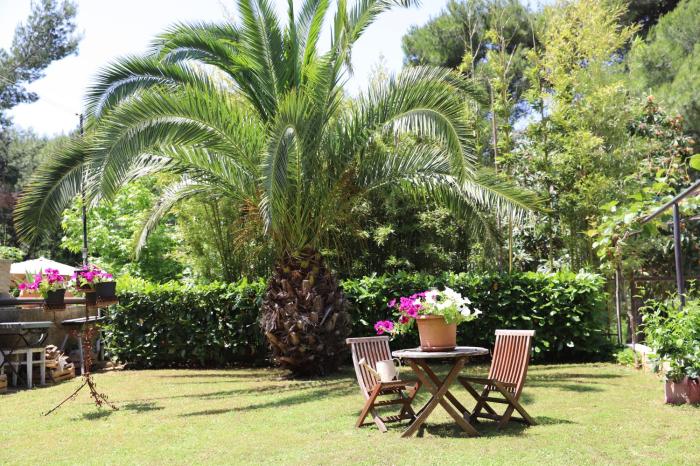 Apartment With a Garden