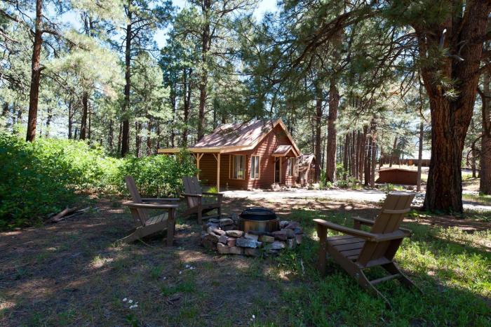 151 CR 200 1 Bedroom Cabin