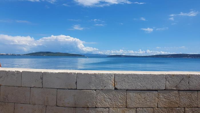 By Osibov, Diamondfish