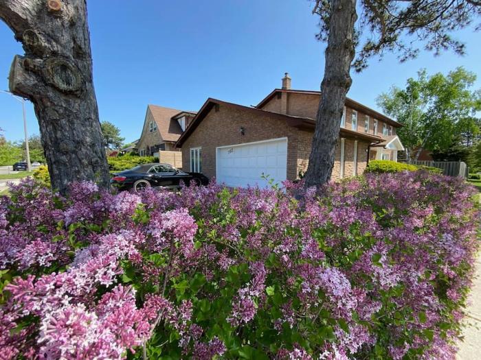 Lovely house in a nice community