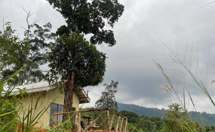Solitary Cottage Dunhinna