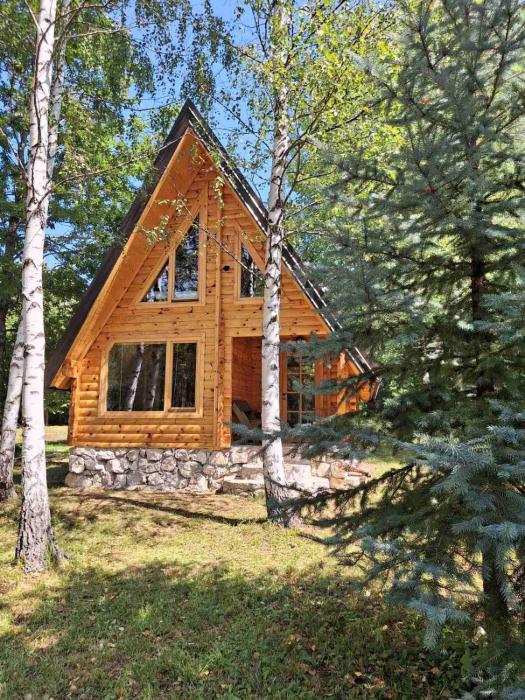 Forest Rhapsody Brezna